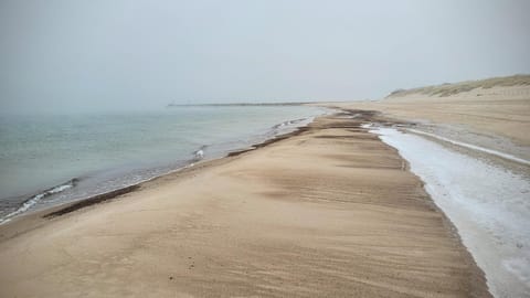 Apartament DANA piękna plaża wydmy las Apartment in Pomeranian Voivodeship