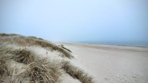 Apartament DANA piękna plaża wydmy las Apartment in Pomeranian Voivodeship