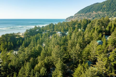 Cozy Cabin MCA 1356 Cabin in Manzanita