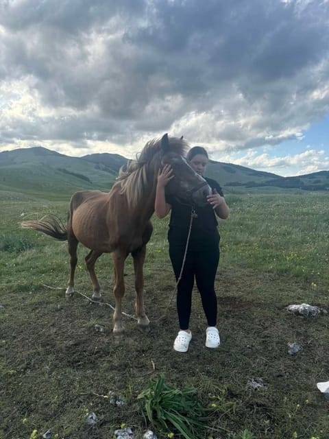 Etno selo - Guest House Etno Village - TRSA Bed and Breakfast in Montenegro