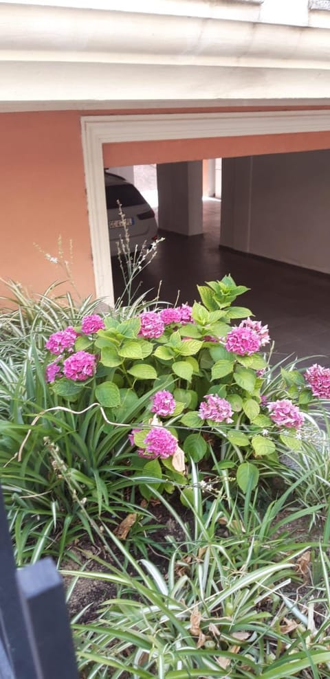 Via Modena Apartment in Cattolica