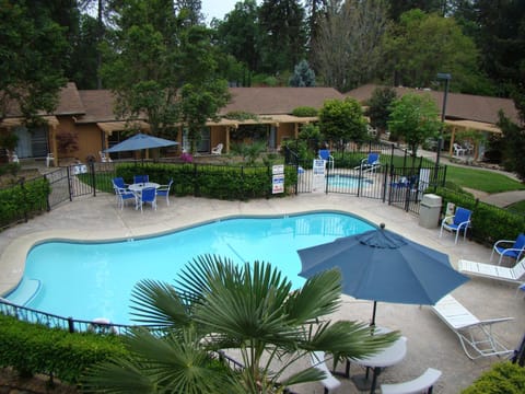Bird's eye view, Swimming pool