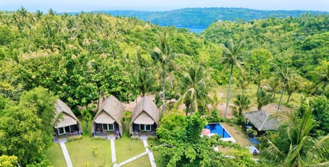 Bird's eye view, Massage, Garden view, Pool view, Swimming pool