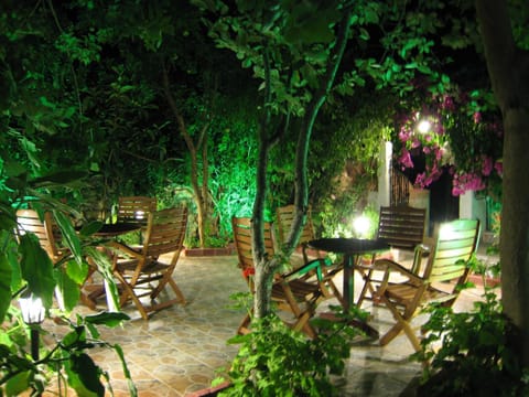 Night, Garden