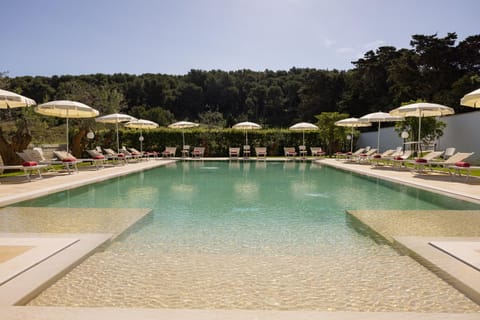 Natural landscape, Pool view, Swimming pool
