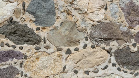 Tempo B&B Bed and Breakfast in Vidor