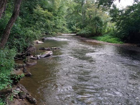 Tranquil Creekside Mountain View Getaway Vacation rental in Lake Junaluska