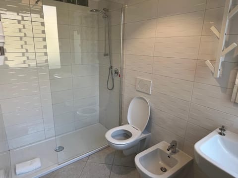 Shower, Toilet, Bathroom, bidet