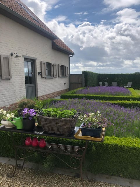 Property building, Spring, Garden view