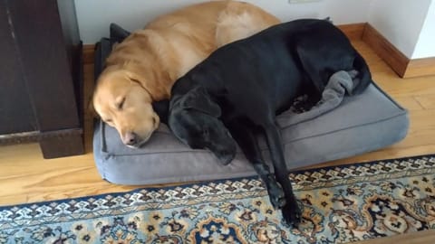 Literaturhaus Schmökermühle Bed and Breakfast in Andernach