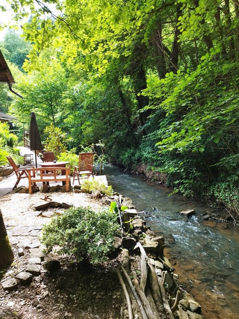 BBQ facilities, Garden, Garden, Internal: Not applicable to any particular room