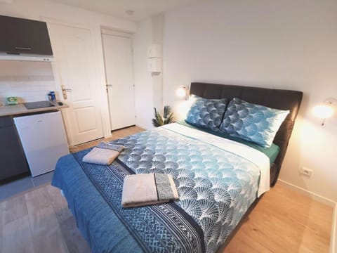 Bed, TV and multimedia, Kitchen or kitchenette, Photo of the whole room, Bedroom, towels