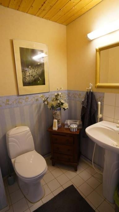 Jugendhuvila Fiskarsissa Apartment in Uusimaa