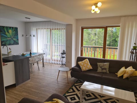 Kitchen or kitchenette, Living room, Seating area, Dining area