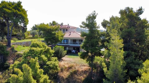 Poseidi - Villa Olivia Villa in Halkidiki