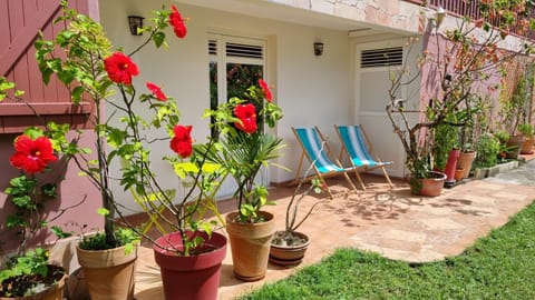 Patio, Day, Garden, Garden view, sunbed