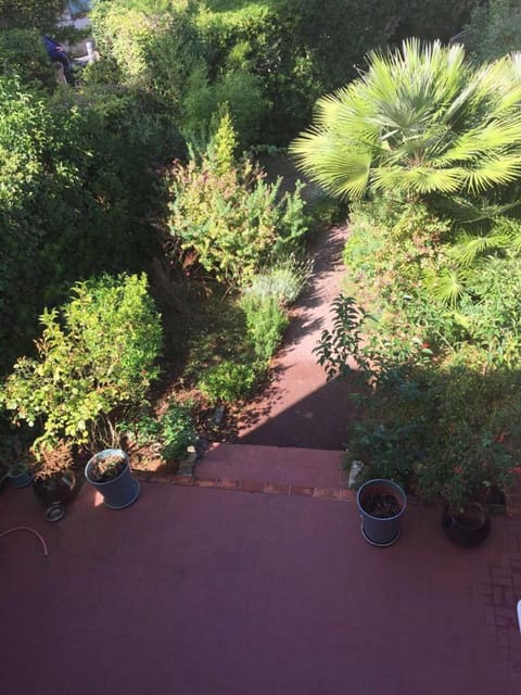 Day, Garden, Garden view