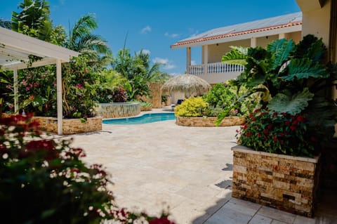 Property building, Patio, Garden, View (from property/room), Other, Swimming pool, sunbed