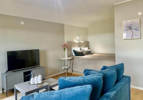 Bed, TV and multimedia, Living room