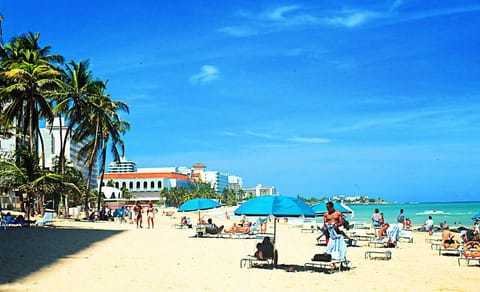 Beach, Area and facilities