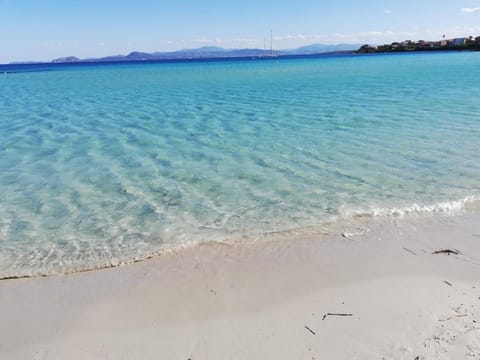 Day, Summer, Beach, On site