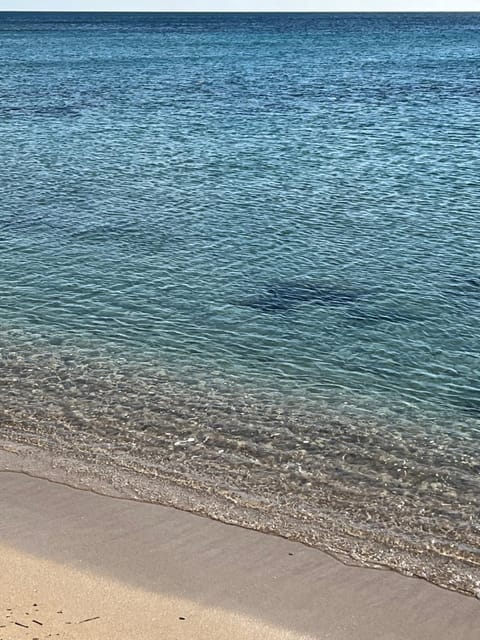 Casa vacanze Brezza di mare House in Campomarino