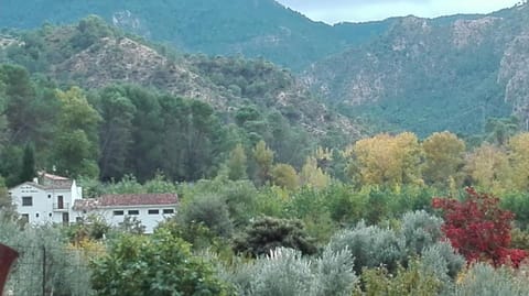Mountain view
