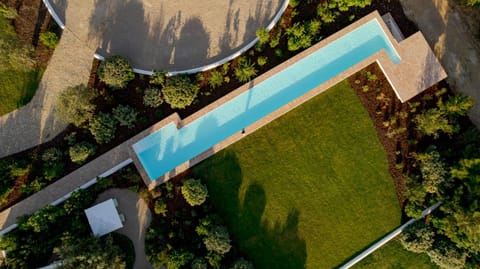 Garden, Swimming pool, Swimming pool