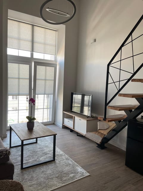 Radio city loft Apartment in Lithuania