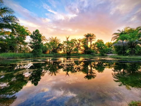 Natural landscape, Lake view, Sunset
