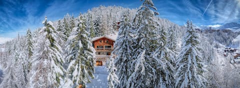 Bird's eye view, Winter, Skiing, Skiing, View (from property/room), Mountain view
