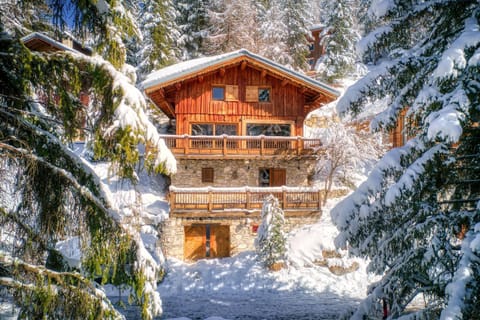 Property building, Winter, Skiing