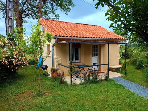 Patio, Natural landscape, Garden, Garden view