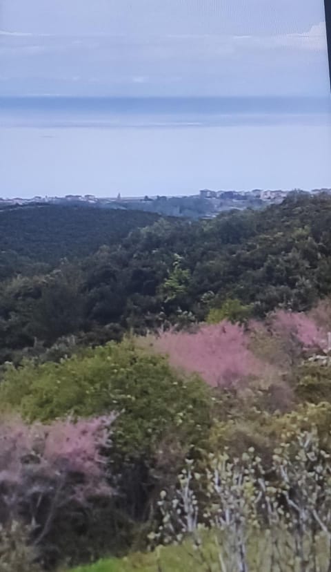 Natural landscape, Sea view