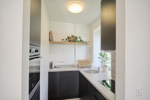 Modern and cozy flat Apartment in Lithuania