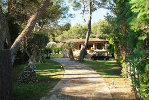 Property building, Day