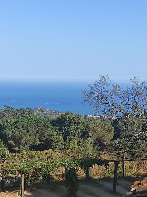Natural landscape, Hiking, Sea view