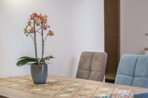 Apartment Isabel Apartment in Bolzano