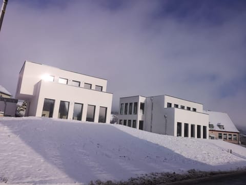 eifel24, neu, modern mit Dachterrasse Apartment in Vulkaneifel