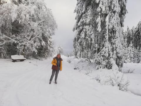 eifel24, neu, modern mit Dachterrasse Apartment in Vulkaneifel