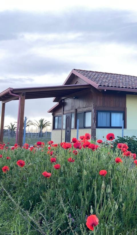 Property building, Natural landscape, Garden view