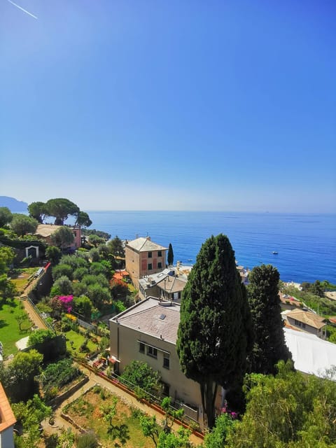Nearby landmark, Spring, Sea view