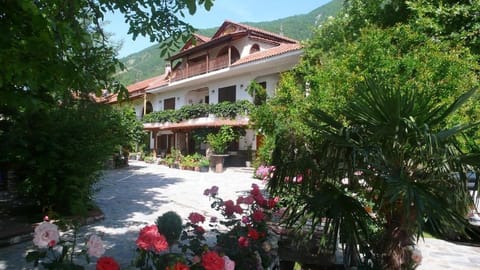 Facade/entrance, Garden