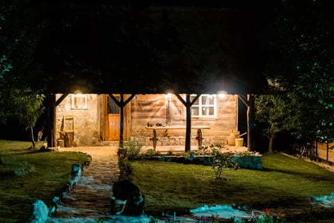 Property building, Night, Garden view