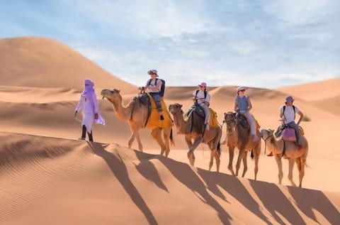 Day, People, Horse-riding, Animals, group of guests