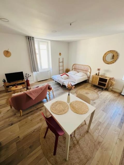 Studio Renard, style bohème et atypique, Curistes Apartment in Vosges