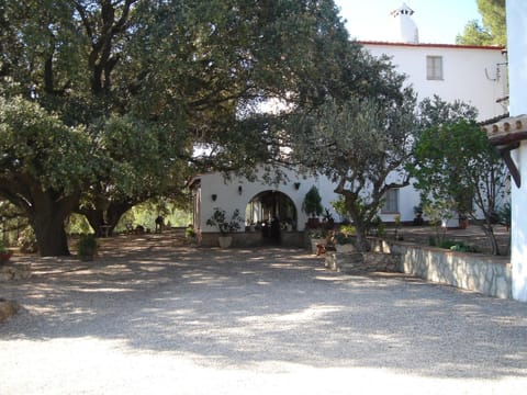 Property building, Facade/entrance, Garden