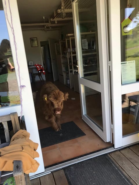 RechHof Urlaub bei Tieren Apartment in Bad Neuenahr-Ahrweiler