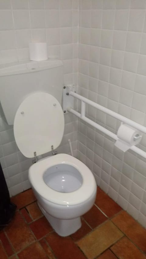 Toilet, Bathroom, Facility for disabled guests