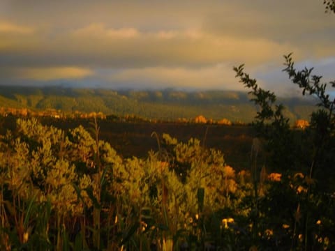 Winsor Castle and Ski Retreat House in New Mexico